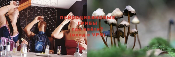 стаф Верхний Тагил