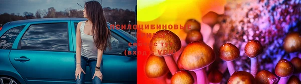 стаф Верхний Тагил