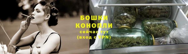 стаф Верхний Тагил